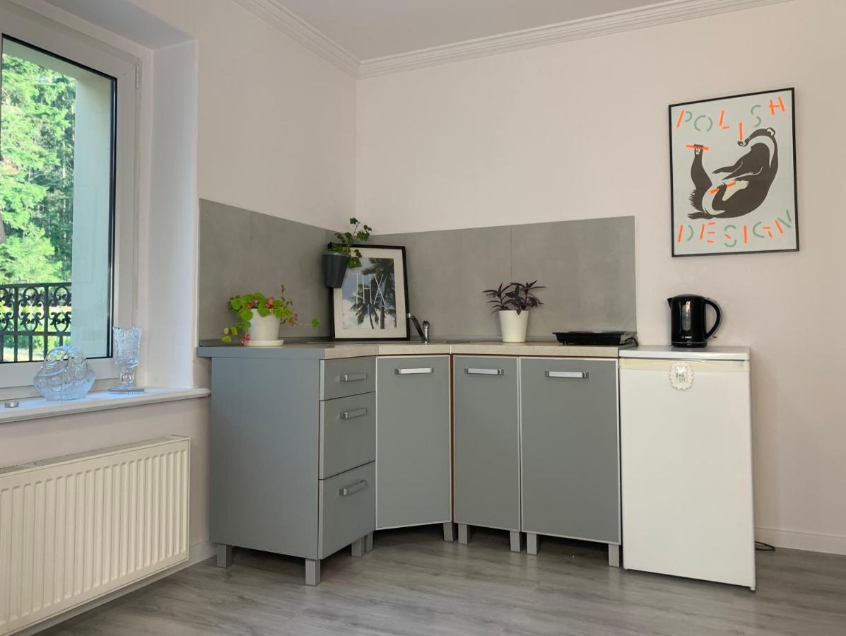 Apartament Lesny - Lesna 30 Kudowa-Zdrój Esterno foto