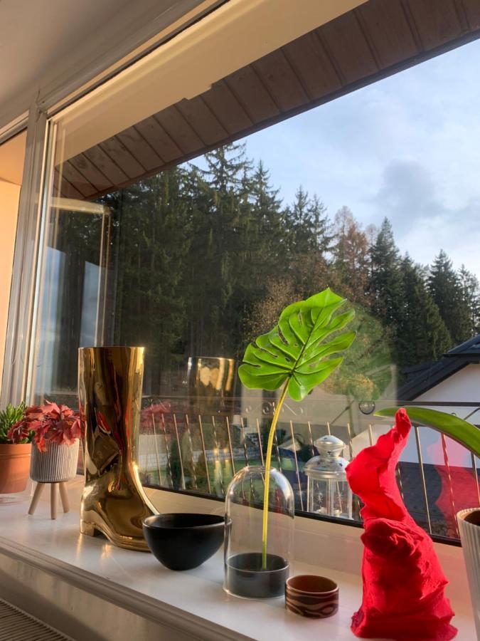 Apartament Lesny - Lesna 30 Kudowa-Zdrój Esterno foto
