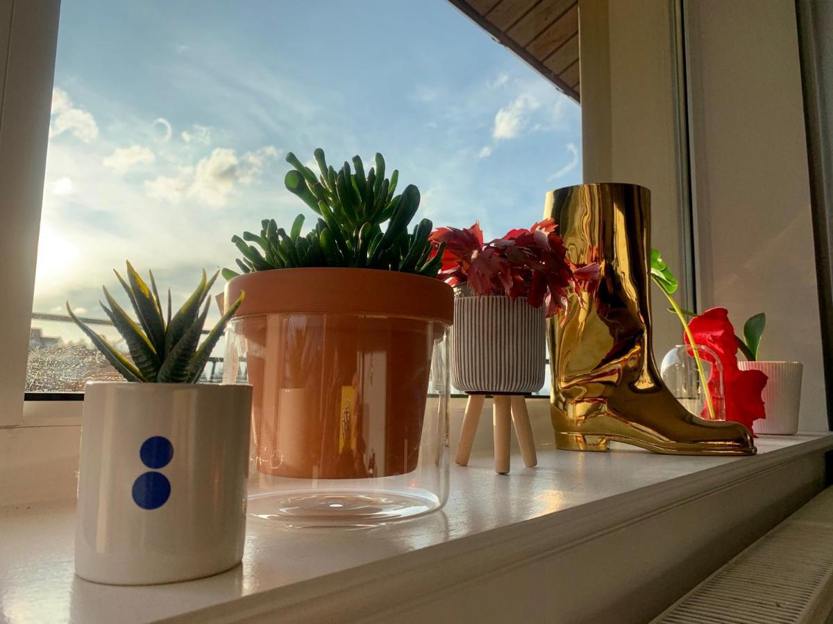 Apartament Lesny - Lesna 30 Kudowa-Zdrój Esterno foto